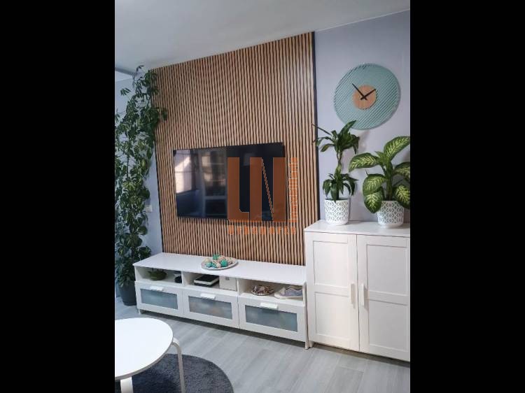 ACOGEDOR PISO 3 DOR, AMUEBLADO Y CON REFORMA RECIENTE