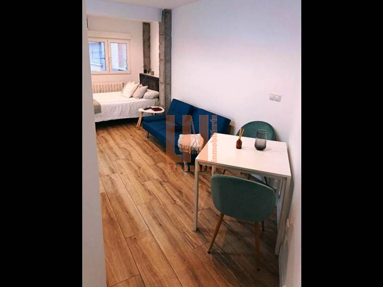 IDEAL PARA ESTUDIANTES - LOFT EN REINA VICTORIA