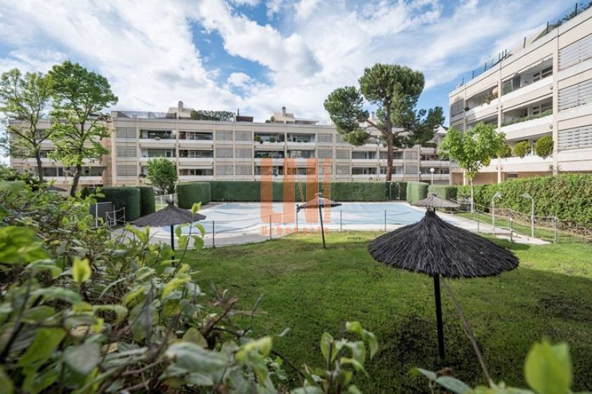 Estupendo piso BAJO CON GRAN TERRAZA, AVENIDA DE EUROPA